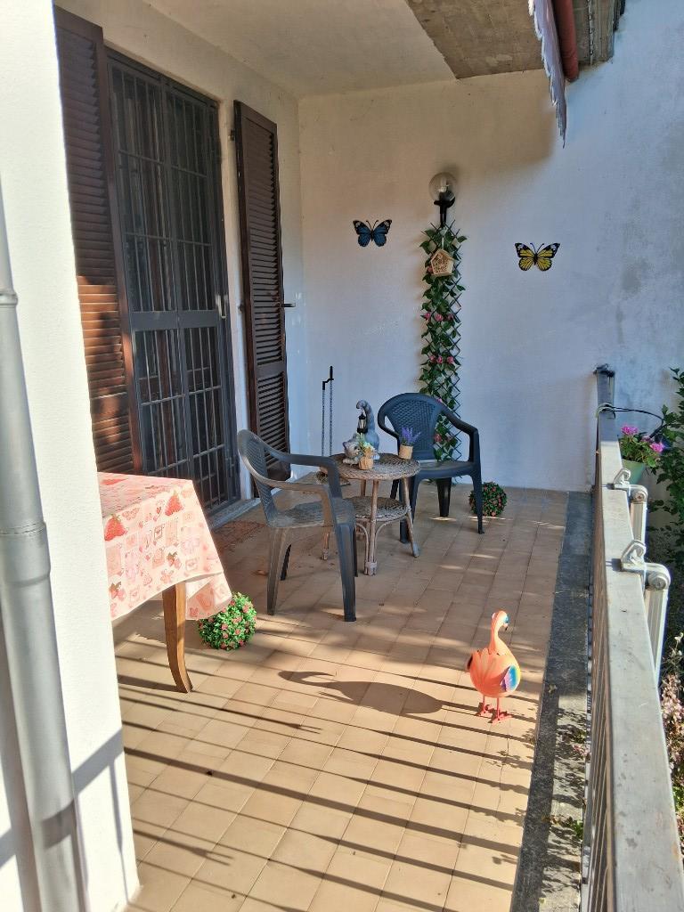 immagine annuncio 5 di 7