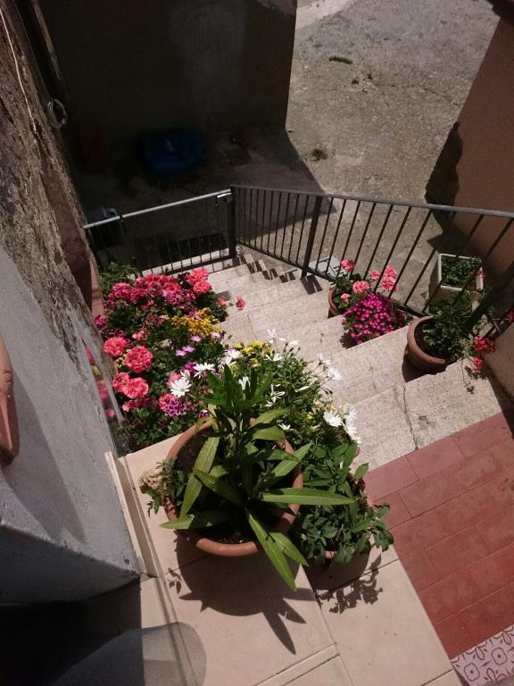 immagine annuncio 5 di 7
