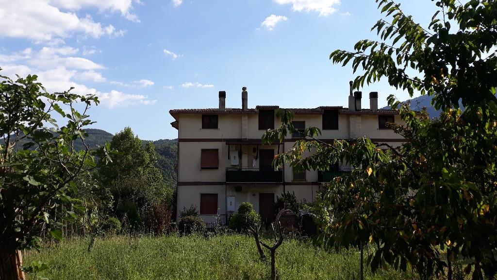 immagine annuncio 5 di 7