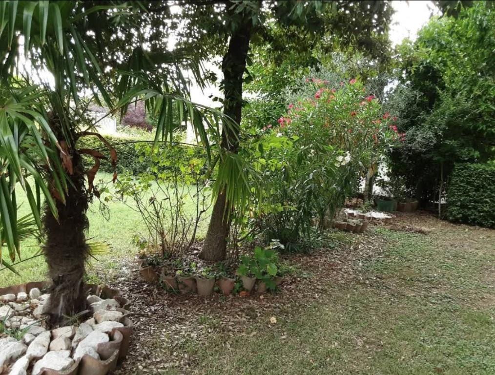 immagine annuncio 4 di 7