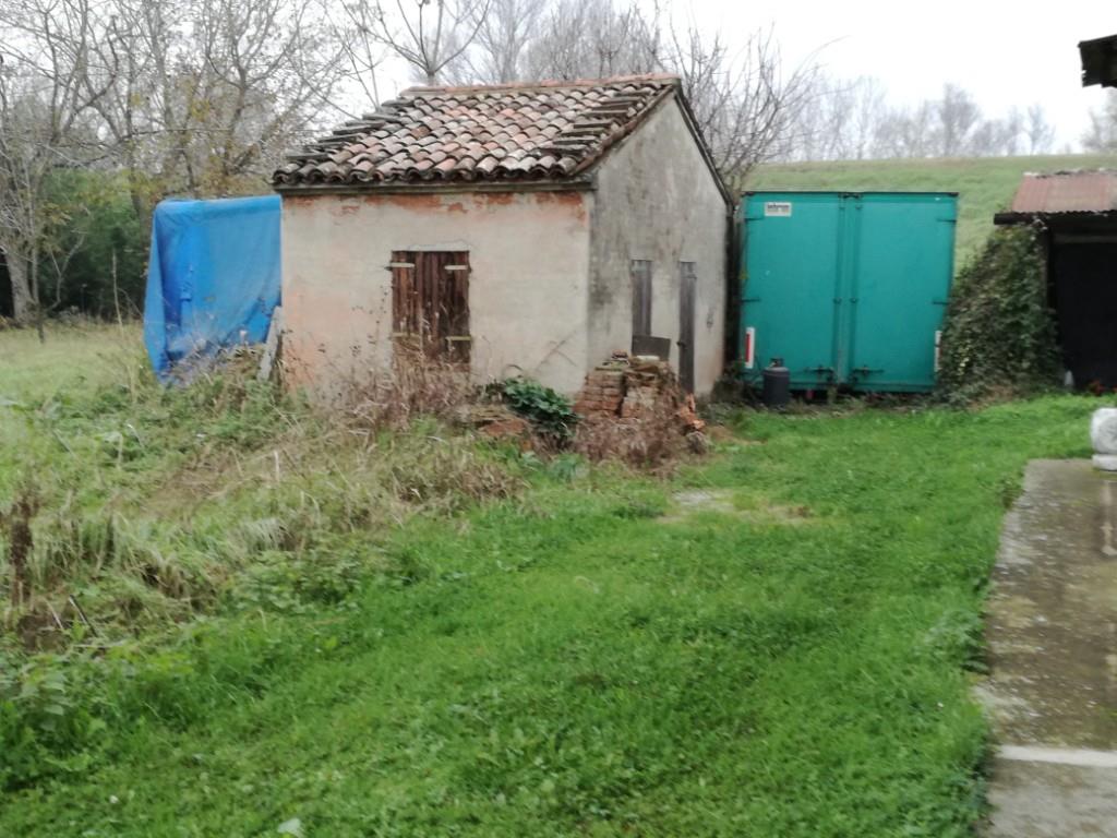 immagine annuncio 1 di 7