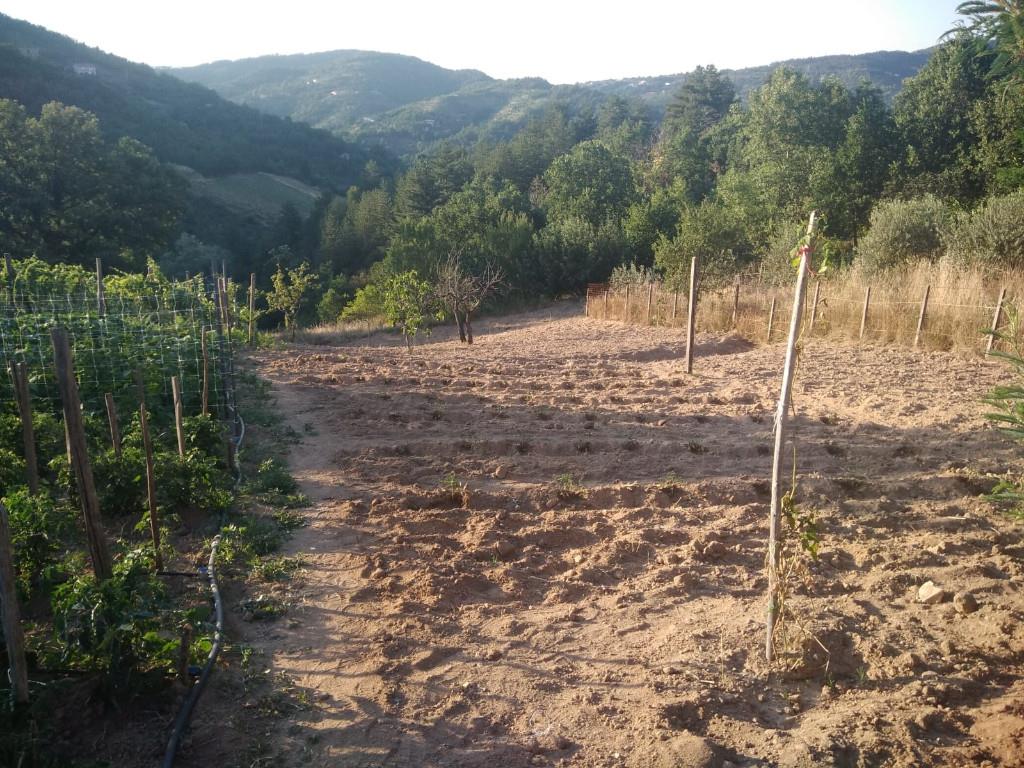 immagine annuncio 4 di 7