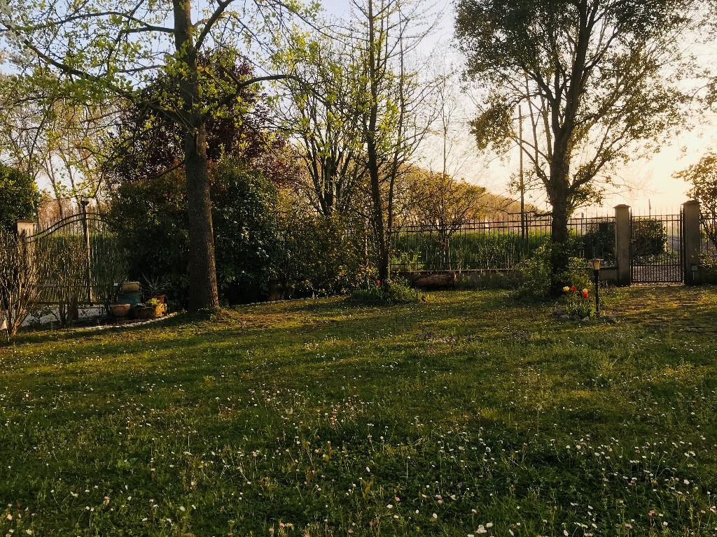 immagine annuncio 6 di 7