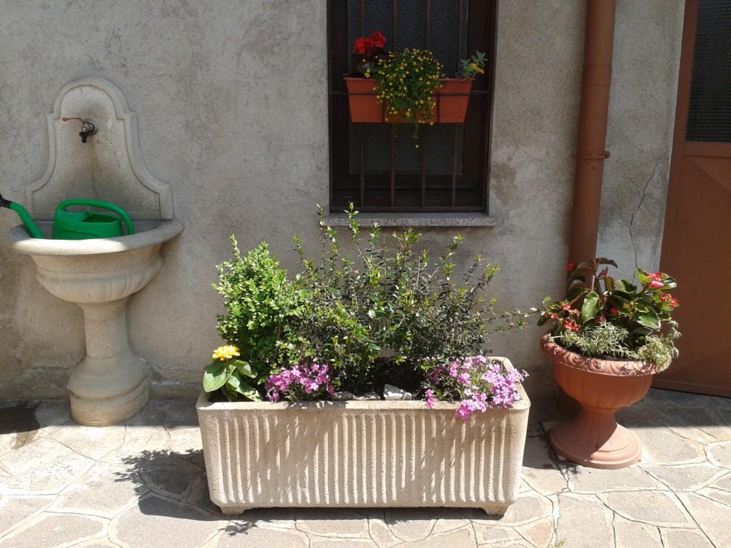 immagine annuncio 3 di 6