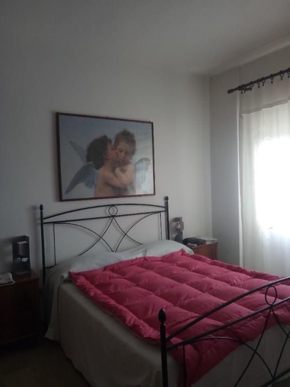 immagine annuncio 4 di 7