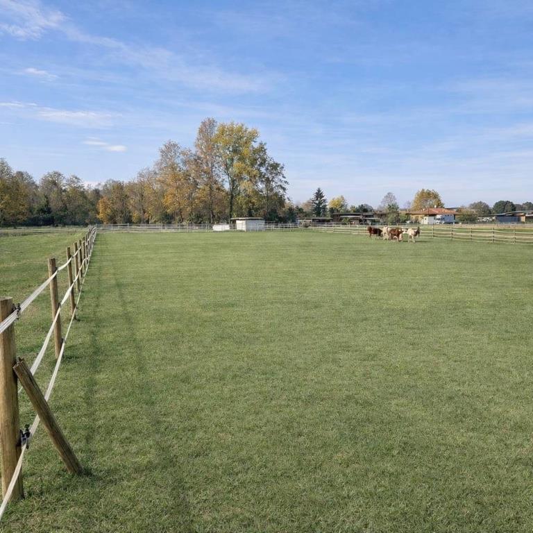 immagine annuncio 6 di 7