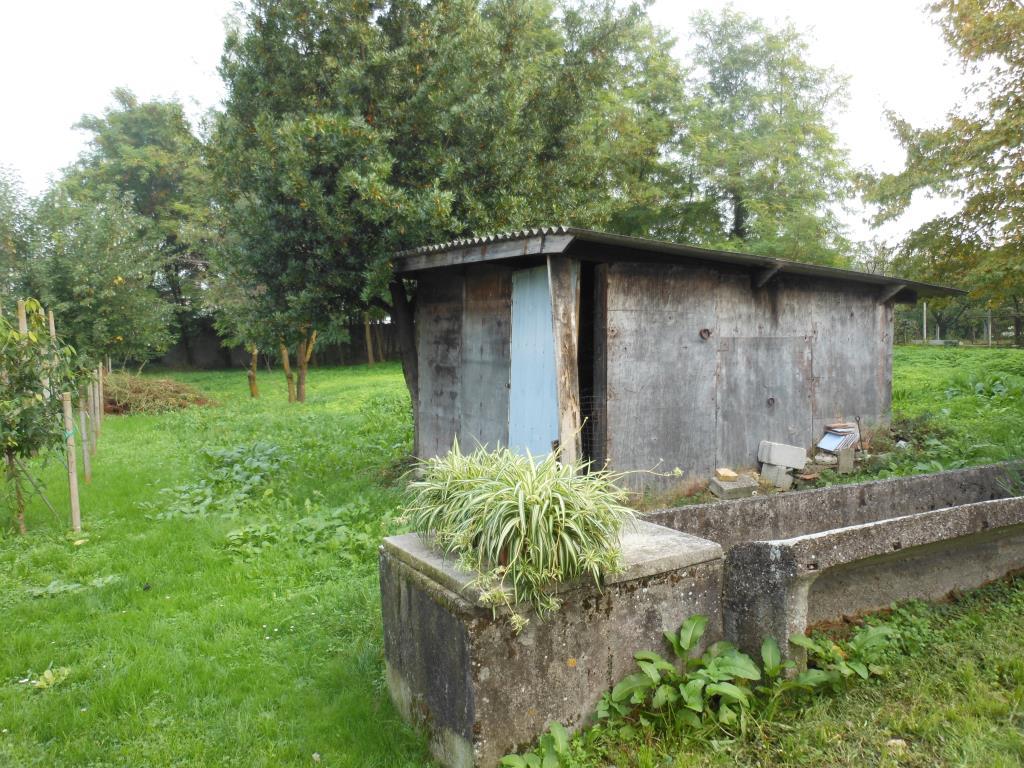 immagine annuncio 1 di 2