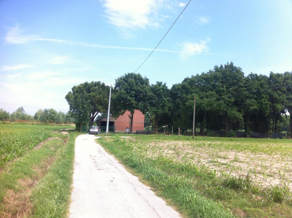 immagine annuncio 6 di 7