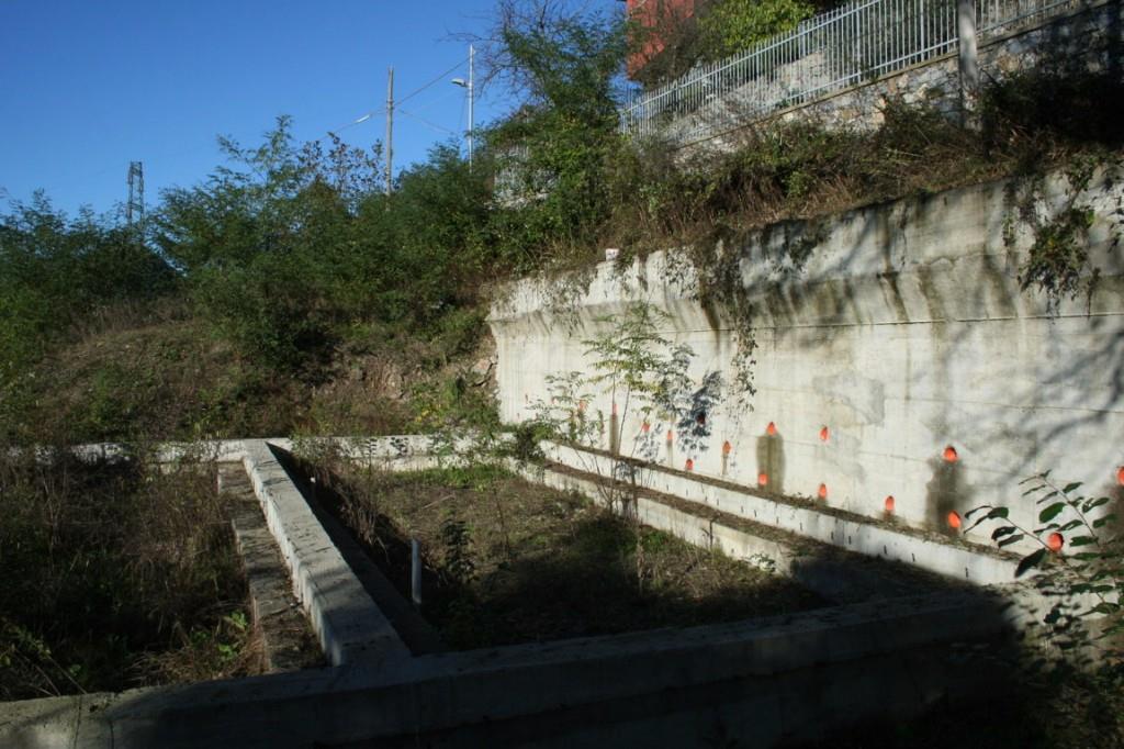 immagine annuncio 4 di 6