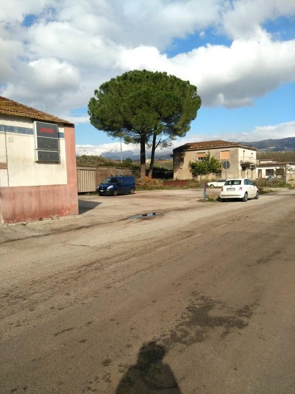 immagine annuncio 1 di 2