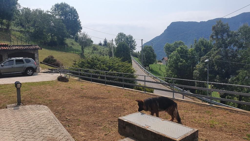immagine annuncio 2 di 7