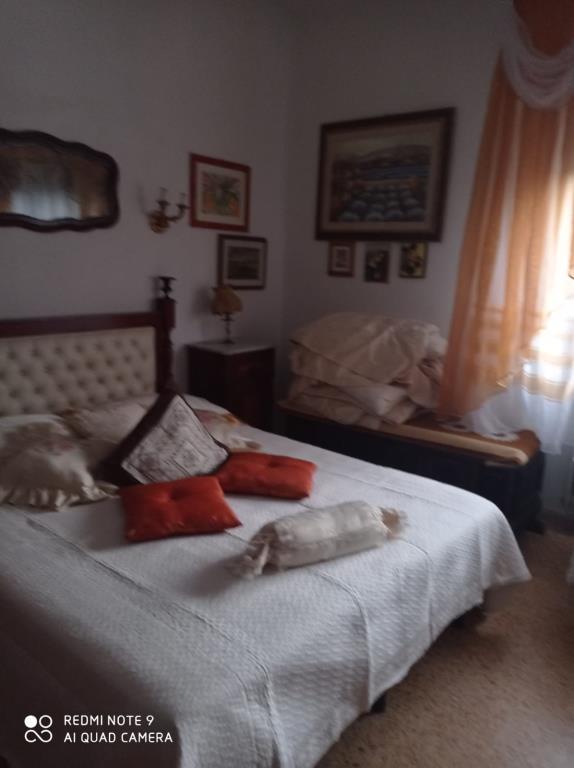 immagine annuncio 5 di 7