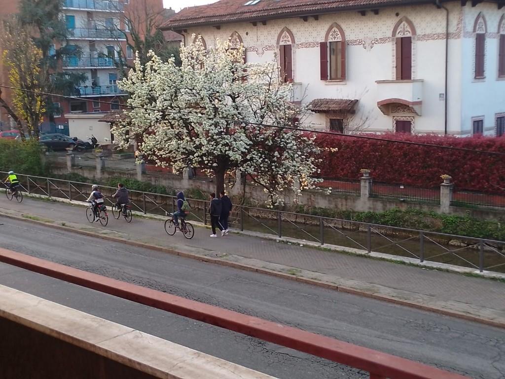 immagine annuncio 6 di 7