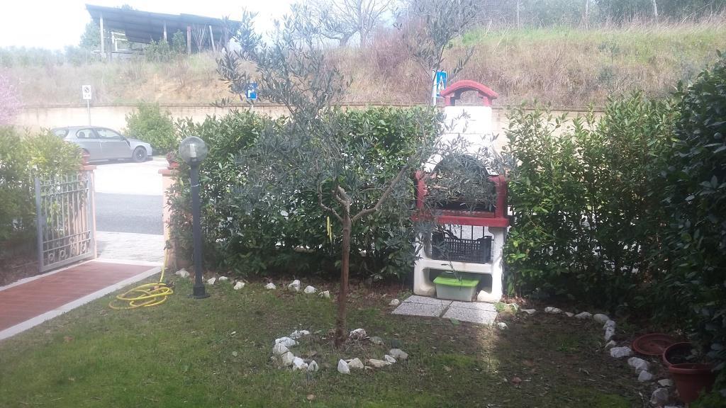 immagine annuncio 1 di 7