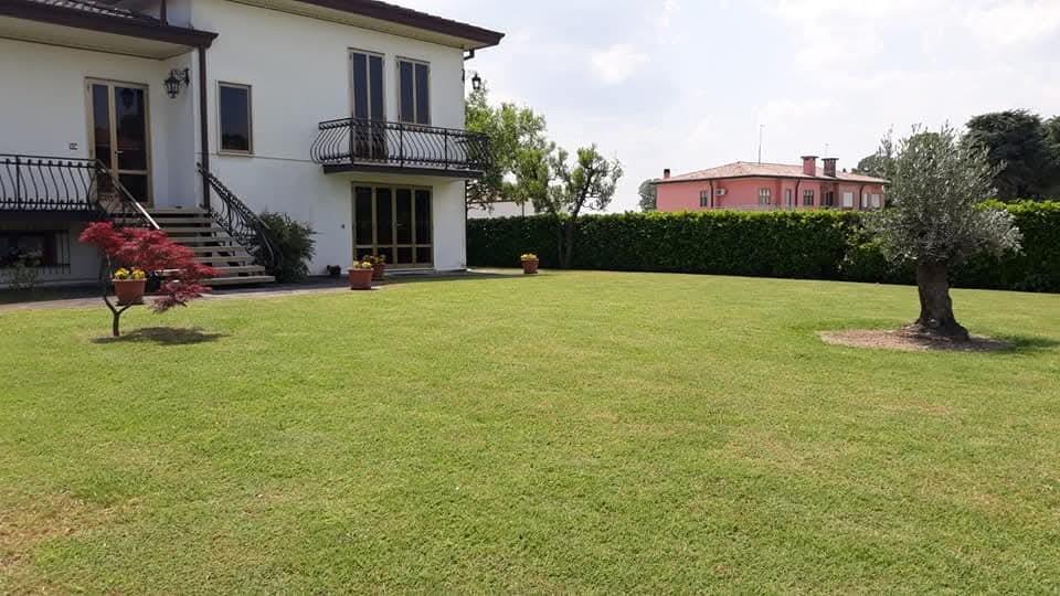 immagine annuncio 2 di 7