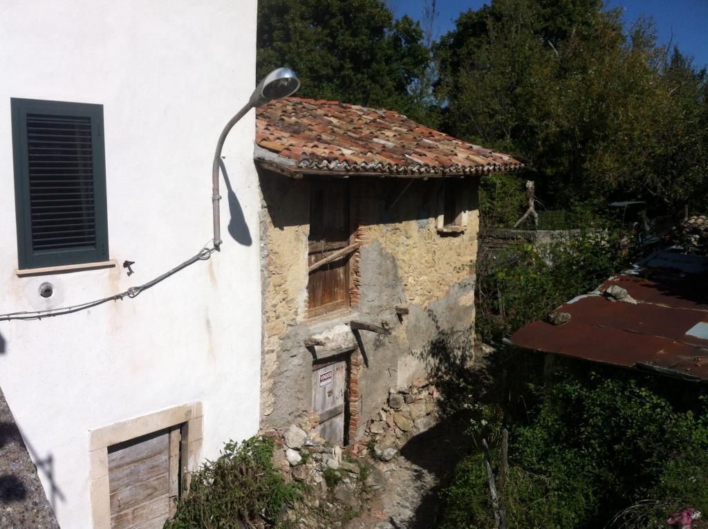 immagine annuncio 2 di 4
