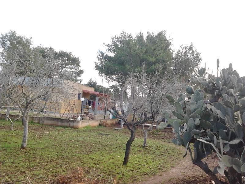 immagine annuncio 1 di 2