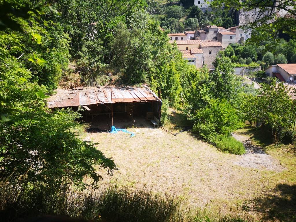 immagine annuncio 3 di 6