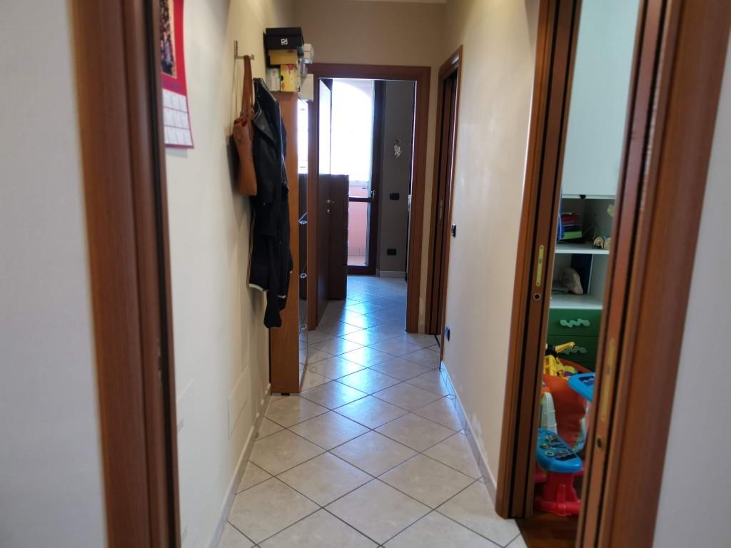 immagine annuncio 2 di 7