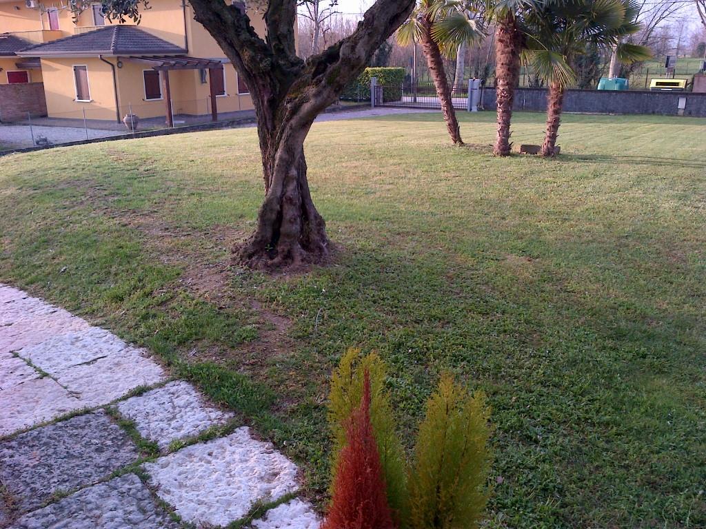 immagine annuncio 1 di 7