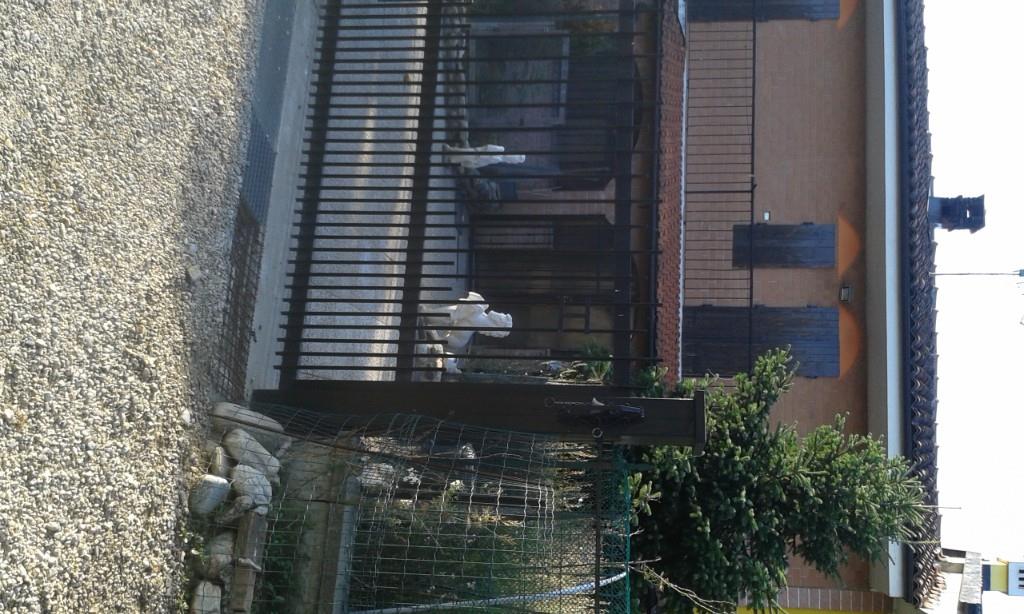 immagine annuncio 3 di 4