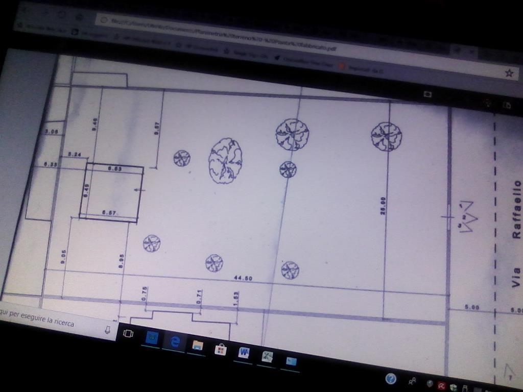 immagine annuncio 1 di 2