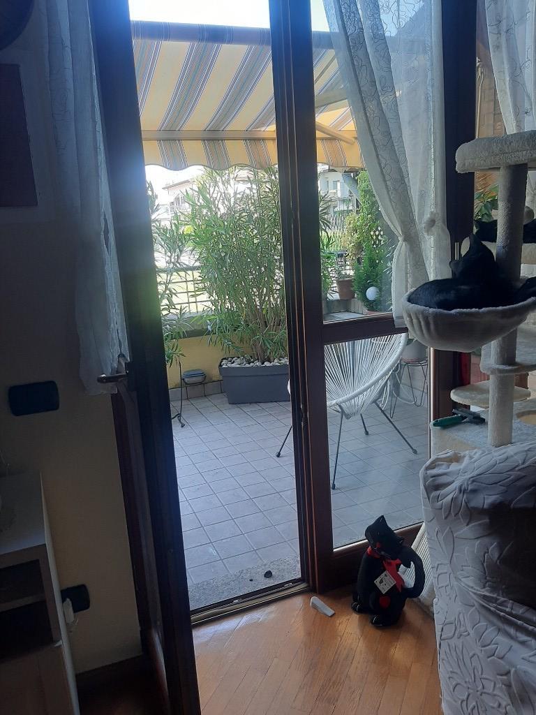 immagine annuncio 6 di 7
