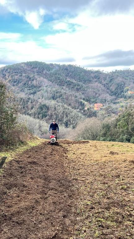 immagine annuncio 1 di 2