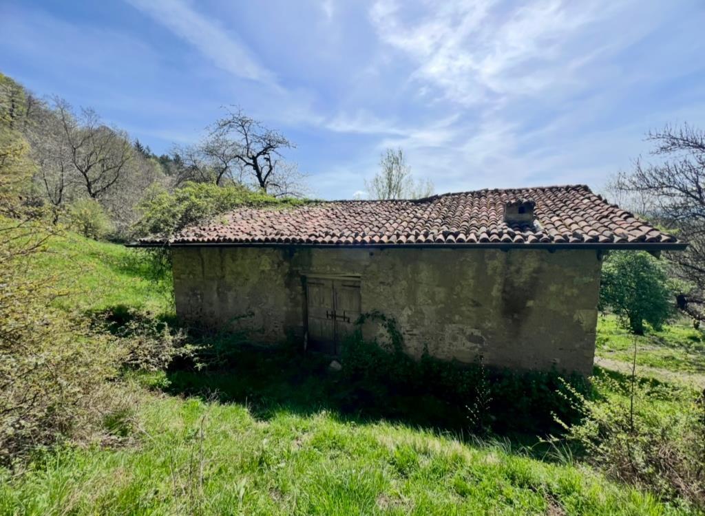 immagine annuncio 1 di 6