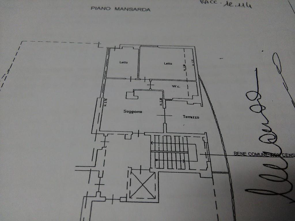 immagine annuncio 5 di 7