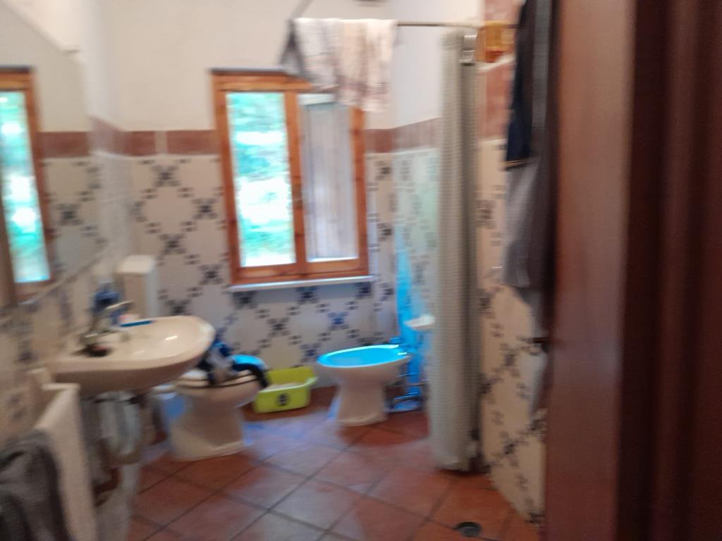immagine annuncio 4 di 7