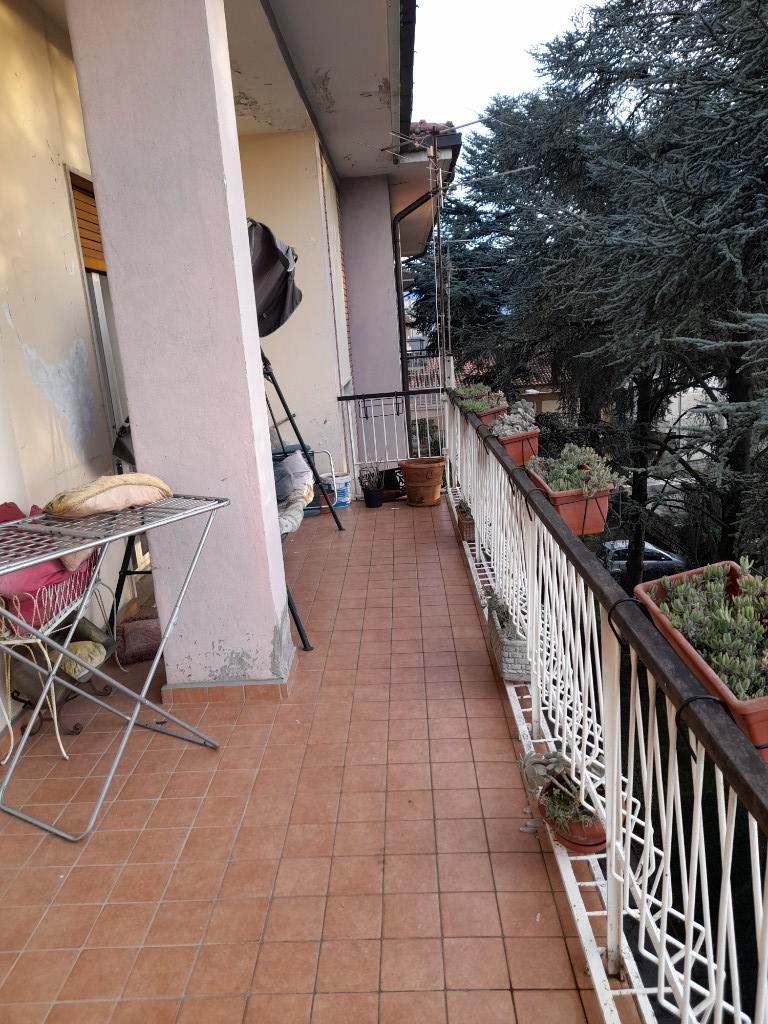 immagine annuncio 2 di 7