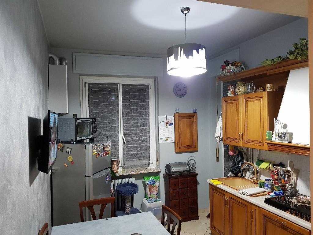 immagine annuncio 4 di 7