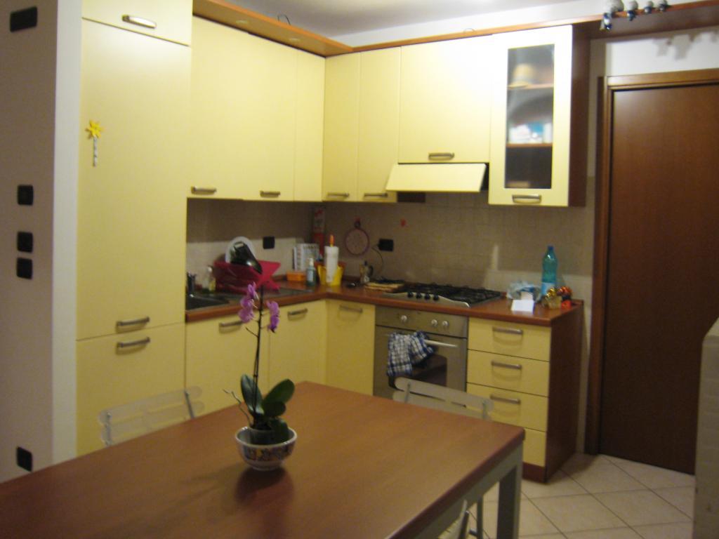immagine annuncio 1 di 7