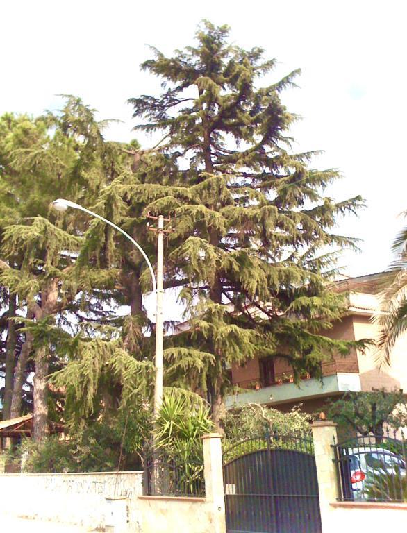 immagine annuncio 2 di 6