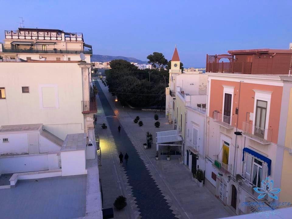 immagine annuncio 5 di 7