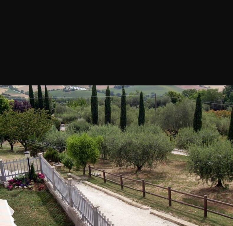 immagine annuncio 3 di 7