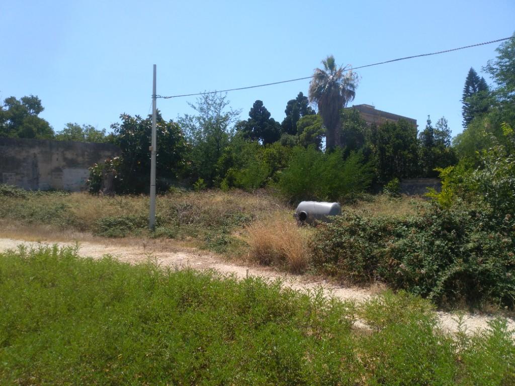 immagine annuncio 3 di 7