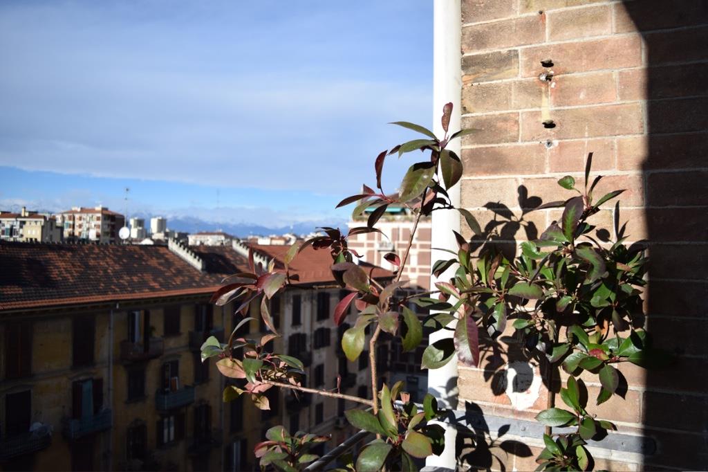 immagine annuncio 6 di 7