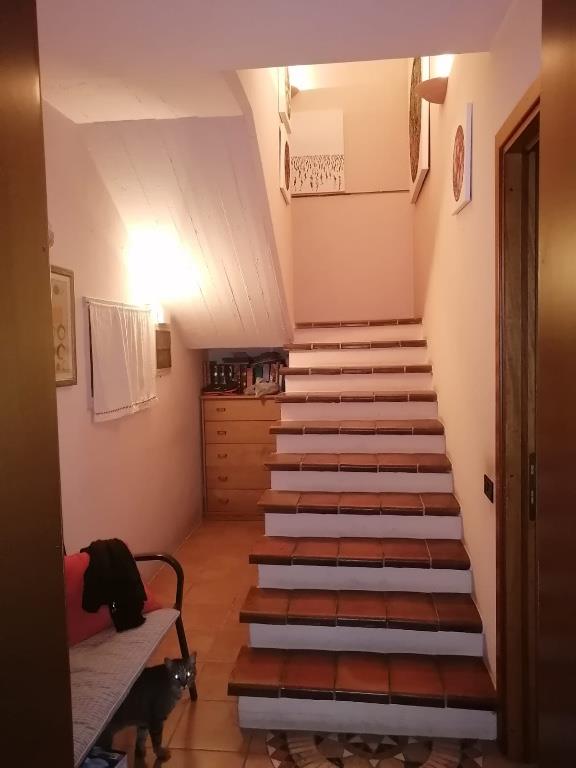 immagine annuncio 2 di 7