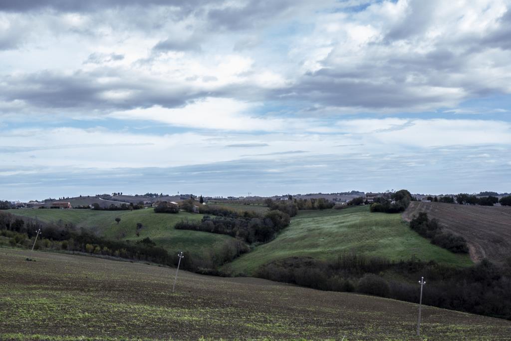 immagine annuncio 5 di 6