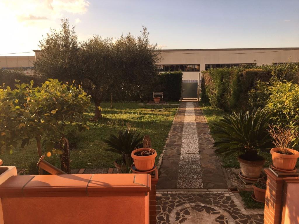 immagine annuncio 2 di 6