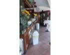 Foto - Attività Bar in Vendita a Castellanza (Varese)