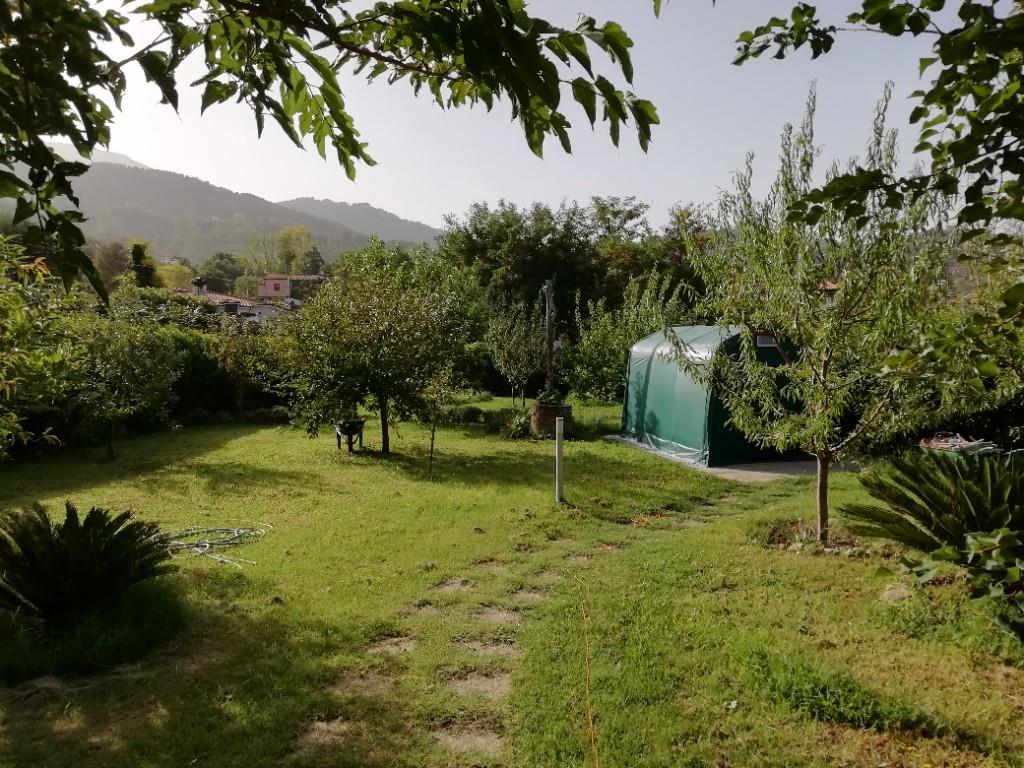 immagine annuncio 2 di 7