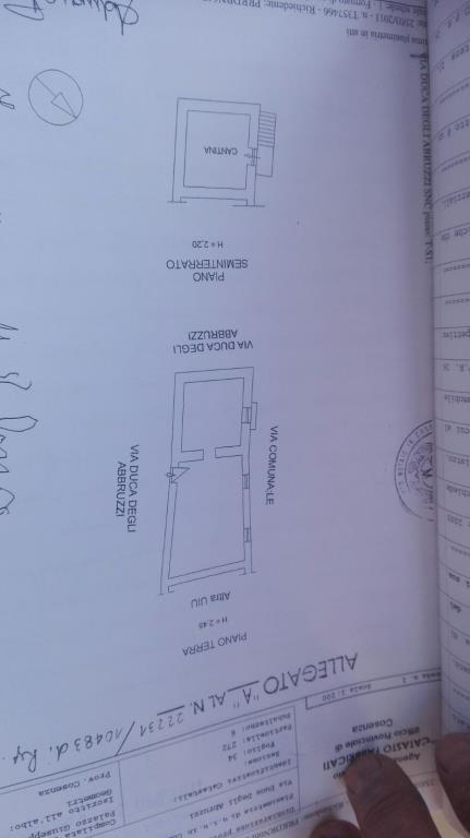 immagine annuncio 5 di 6