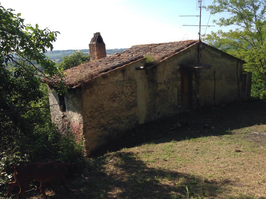 immagine annuncio 2 di 7