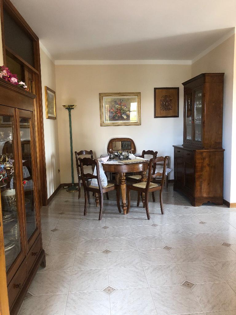 immagine annuncio 3 di 7