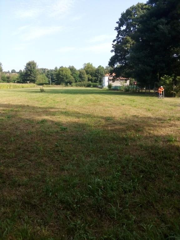 immagine annuncio 6 di 7