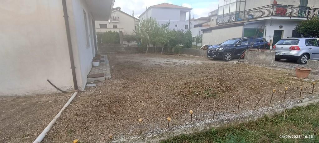 immagine annuncio 4 di 7