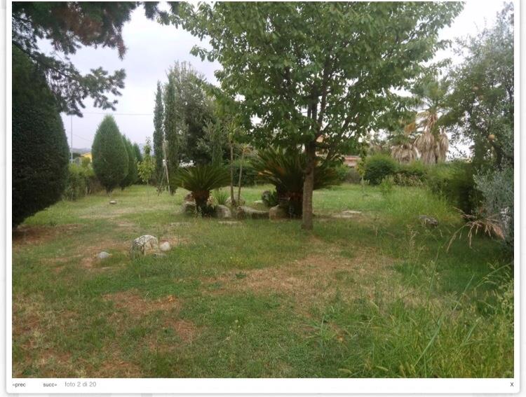 immagine annuncio 1 di 6